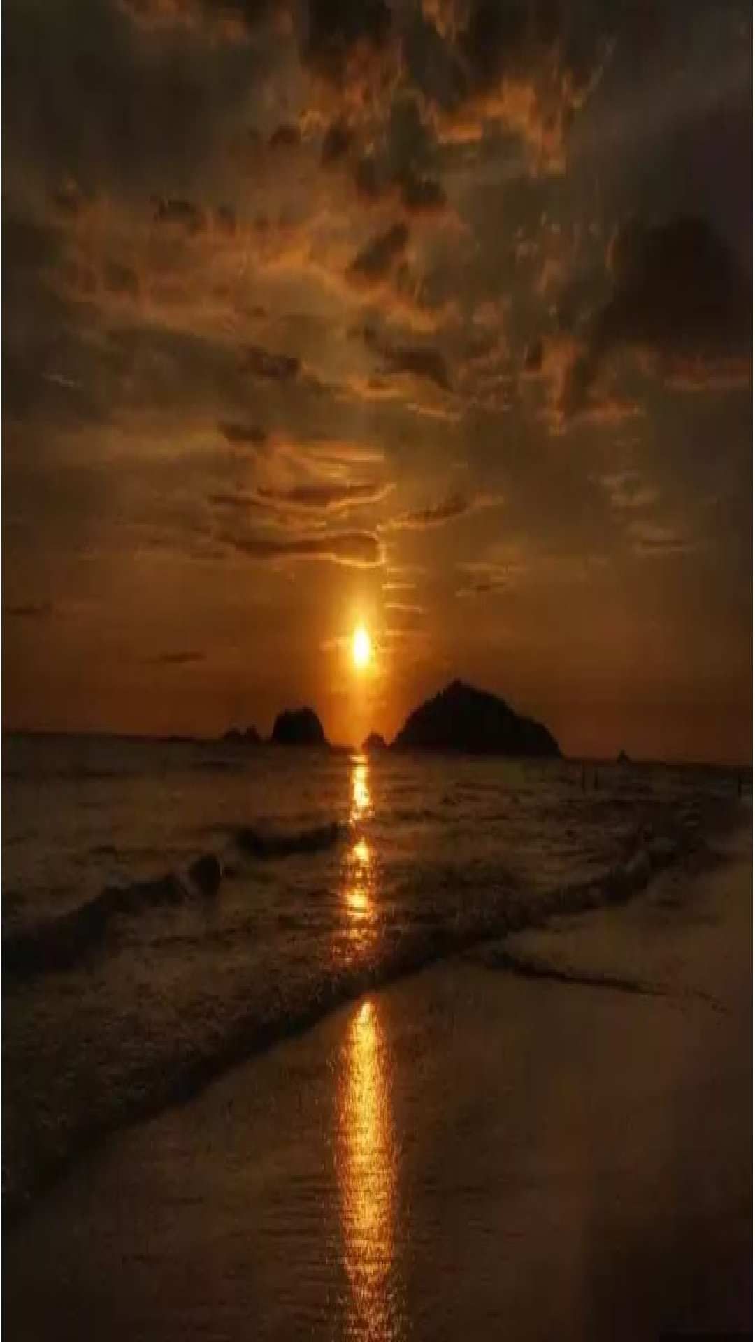 4 (1)