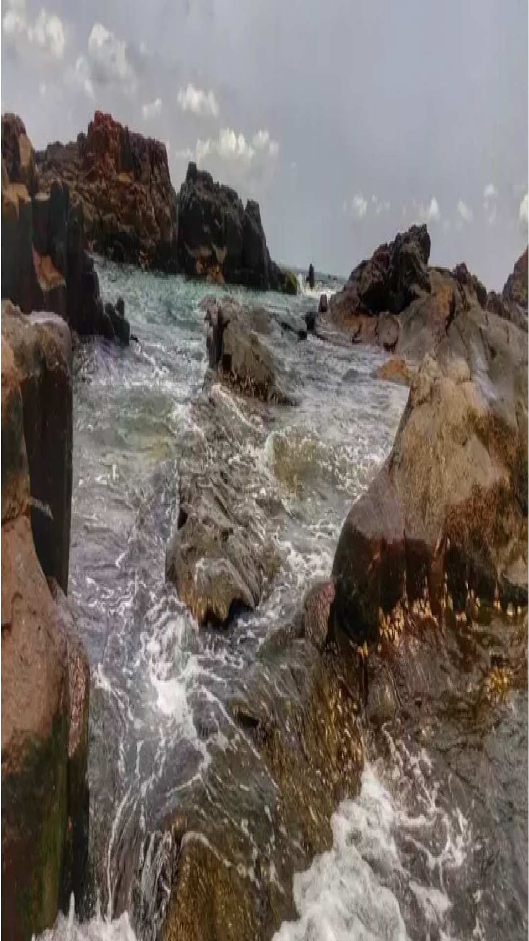 7 (1)