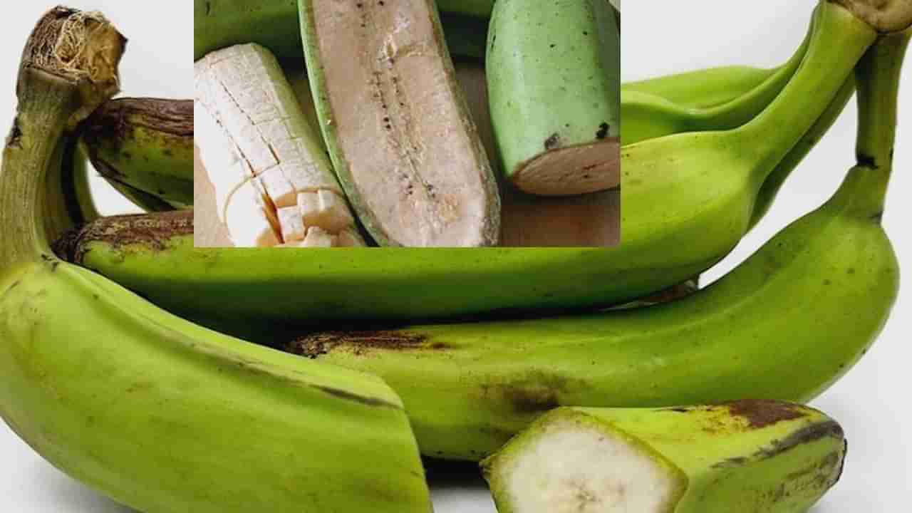 Green Banana: ಕಚ್ಚಾ ಬಾಳೆ ಕಾಯಿಯಲ್ಲಿದೆ ಹತ್ತಾರು ಆರೋಗ್ಯಕರ ಗುಣಗಳು! ಮಧುಮೇಹಿಗಳು ಇದನ್ನು ಸೇವಿಸಬಹುದೇ?