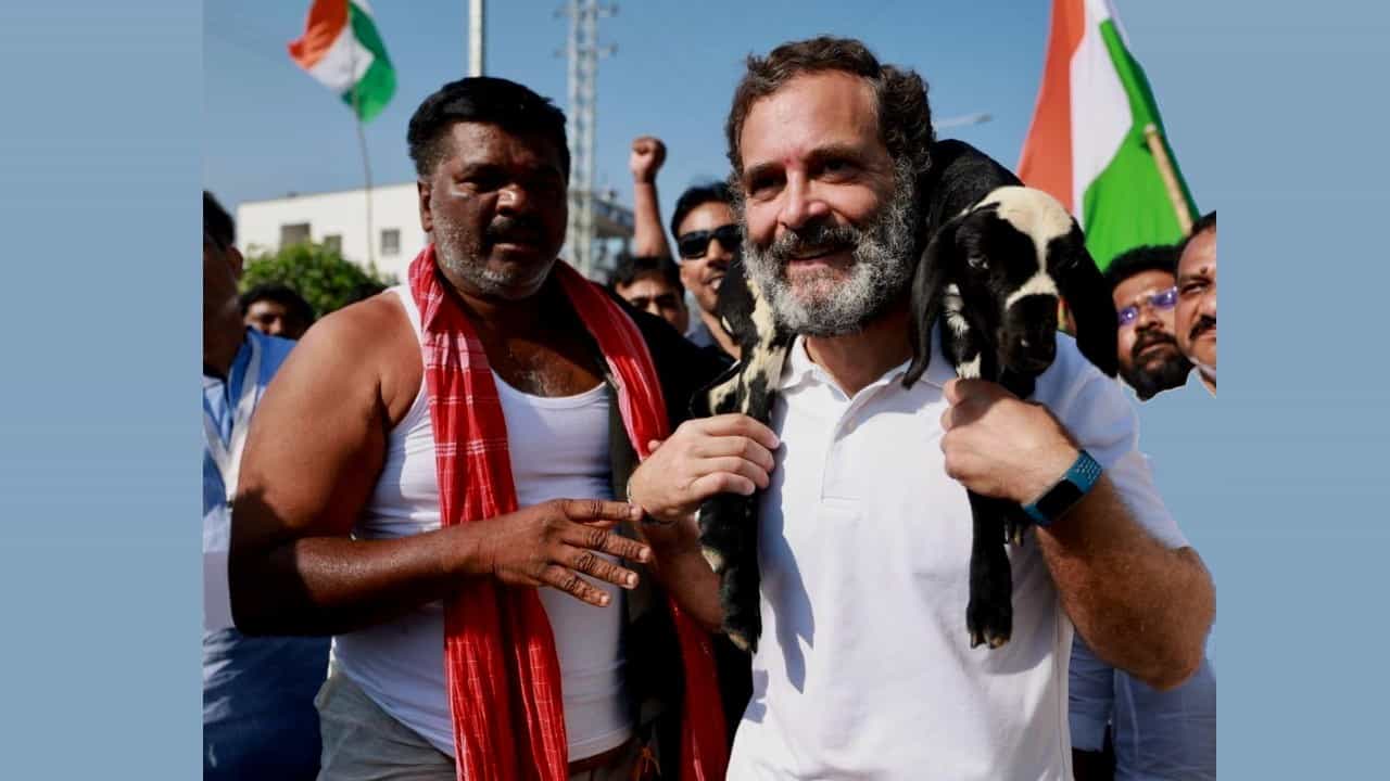 ಇಲ್ಲಿ G.O.A.T ಯಾರು? ರಾಹುಲ್ ಗಾಂಧಿಯ ವಿಶೇಷ ಚಿತ್ರವನ್ನು ಹಂಚಿಕೊಂಡ ಕಾಂಗ್ರೆಸ್‌ನ ಜೈರಾಮ್ ರಮೇಶ್! ಅದಕ್ಕೆ ನೆಟ್ಟಿಗರು ಏನಂದರು!?