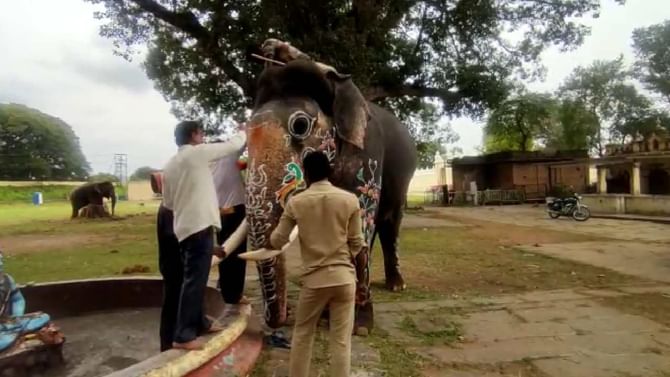 Mysuru Dasara 2022: ಅರಮನೆ ನಗರಿ ಮೈಸೂರಿನಲ್ಲಿ ದಸರಾ ಸಂಭ್ರಮ, ಜಂಬೂಸವಾರಿಗೆ ಭರ್ಜರಿ ಸಿದ್ಧತೆ Mysuru Dasara 2022: ಅರಮನೆ ನಗರಿ ಮೈಸೂರಿನಲ್ಲಿ ದಸರಾ ಸಂಭ್ರಮ, ಜಂಬೂಸವಾರಿಗೆ ಭರ್ಜರಿ ಸಿದ್ಧತೆ