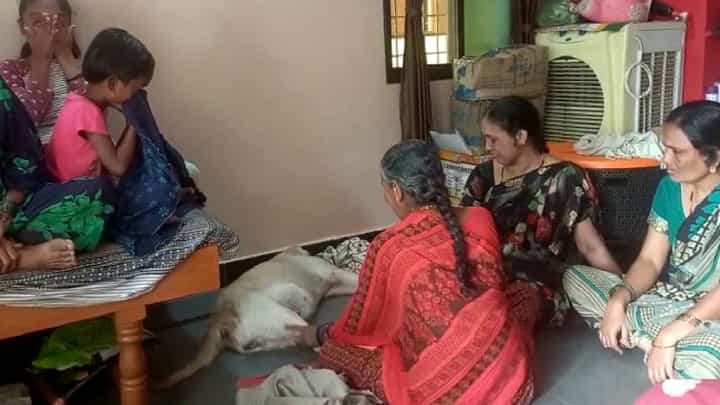 ಮುದ್ದಿನ 'ಕ್ಯಾಂಡಿ' ಕಳೆದುಕೊಂಡು ಕಣ್ಣೀರಿಡುತ್ತಿರುವ ಕುಟುಂಬಸ್ಥರು, ವಿಧಿ ವಿಧಾನದೊಂದಿಗೆ ಶ್ವಾನದ ಅಂತ್ಯಕ್ರಿಯೆ ಮುದ್ದಿನ 'ಕ್ಯಾಂಡಿ' ಕಳೆದುಕೊಂಡು ಕಣ್ಣೀರಿಡುತ್ತಿರುವ ಕುಟುಂಬಸ್ಥರು, ವಿಧಿ ವಿಧಾನದೊಂದಿಗೆ ಶ್ವಾನದ ಅಂತ್ಯಕ್ರಿಯೆ