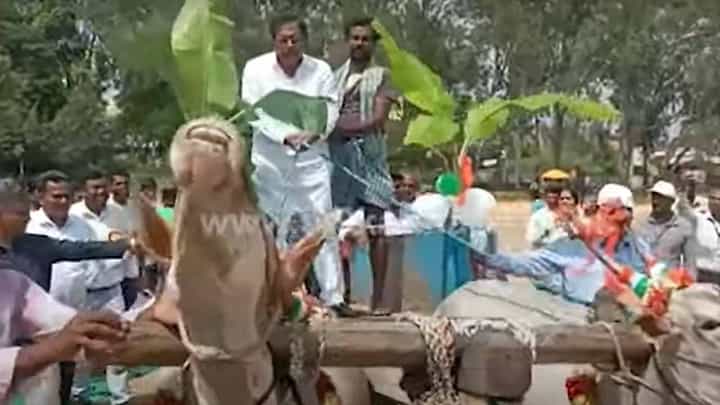 ಕಾರು ಓಡಿಸಿ ಅಭ್ಯಾಸವಿರುವ ಕಾಂಗ್ರೆಸ್ ನಾಯಕ ಜಿ ಪರಮೇಶ್ವರ ಎತ್ತಿನಗಾಡಿ ಓಡಿಸುವಲ್ಲಿ ಎಡವಿದರು! ಕಾರು ಓಡಿಸಿ ಅಭ್ಯಾಸವಿರುವ ಕಾಂಗ್ರೆಸ್ ನಾಯಕ ಜಿ ಪರಮೇಶ್ವರ ಎತ್ತಿನಗಾಡಿ ಓಡಿಸುವಲ್ಲಿ ಎಡವಿದರು!