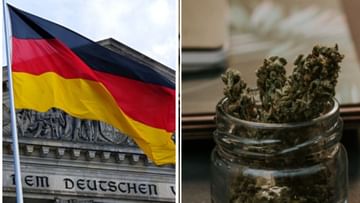 Germany To Legalize Cannabis: ಯುವಕರಿಗೆ ಗಾಂಜಾ ಸೇವನೆ ಕಾನೂನುಬದ್ಧಗೊಳಿಸಿದ ಜರ್ಮನಿ! 5 ದೇಶದಲ್ಲಿ ಗಾಂಜಾ ಕಾನೂನುಬದ್ಧ