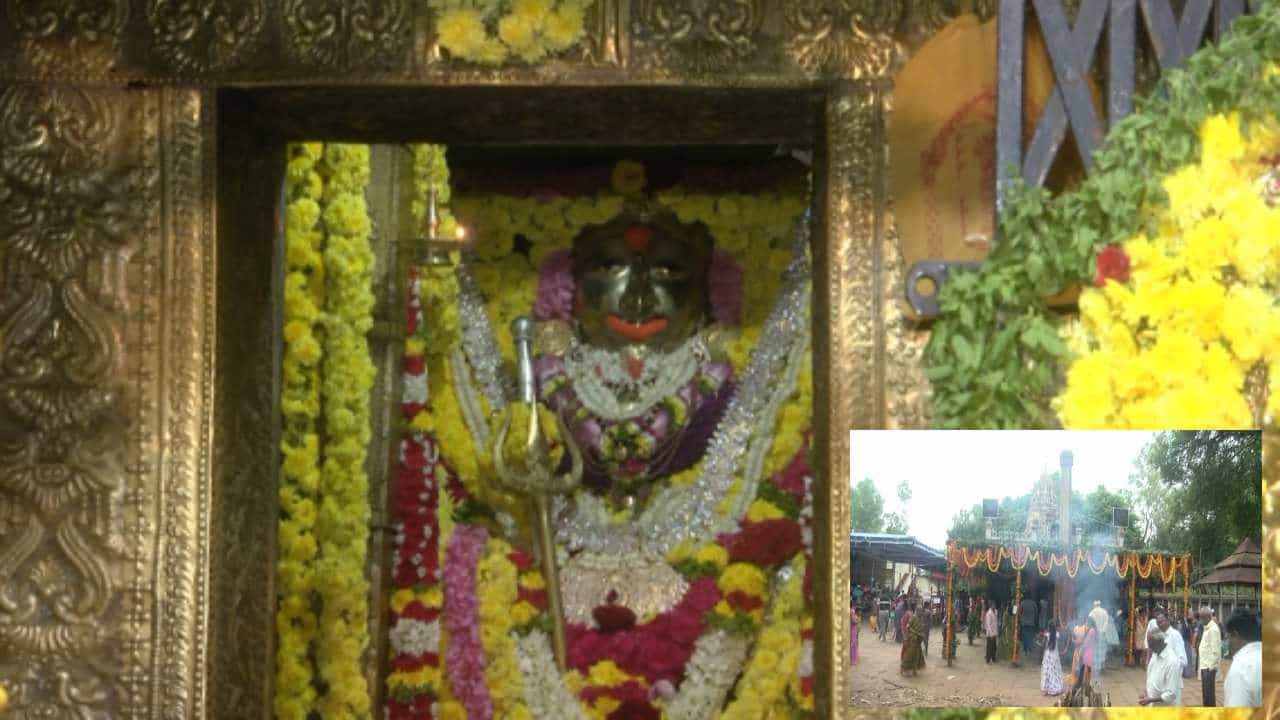 ವಾರಕ್ಕೆ ಮೂರು ದಿನ ಮಾತ್ರ ದರ್ಶನ ನೀಡುವ ಹಾಸನಾಂಬೆ ಸಹೋದರಿಯ ಅದ್ದೂರಿ ಜಾತ್ರೆ ವಾರಕ್ಕೆ ಮೂರು ದಿನ ಮಾತ್ರ ದರ್ಶನ ನೀಡುವ ಹಾಸನಾಂಬೆ ಸಹೋದರಿಯ ಅದ್ದೂರಿ ಜಾತ್ರೆ