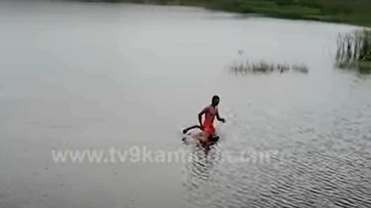 ಬಾಗಲಕೋಟೆ: ಈಜೇ ಗೊತ್ತಿರದ ಕುಡುಕನೊಬ್ಬ ಮೊಸಳೆಯನ್ನು ಕೊಲ್ಲುತ್ತೇನೆ ಅಂತ ಕೆರೆಗೆ ಹಾರಿದ! ಬಾಗಲಕೋಟೆ: ಈಜೇ ಗೊತ್ತಿರದ ಕುಡುಕನೊಬ್ಬ ಮೊಸಳೆಯನ್ನು ಕೊಲ್ಲುತ್ತೇನೆ ಅಂತ ಕೆರೆಗೆ ಹಾರಿದ!
