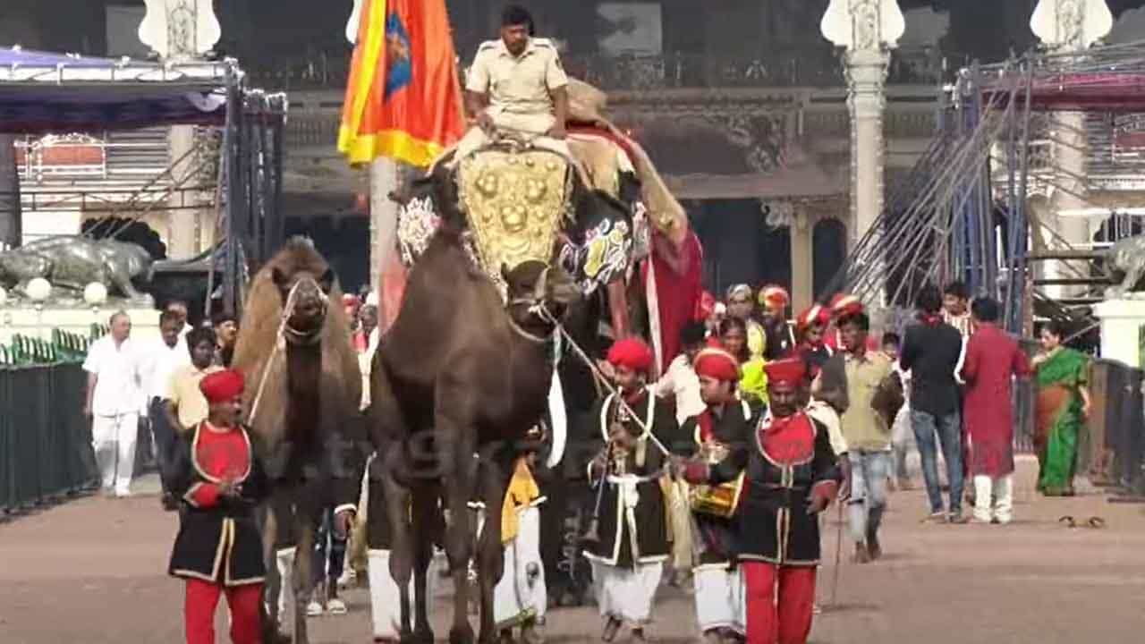 Mysore Dasara: ಅರಮನೆಯಲ್ಲಿ ಆಯುಧಪೂಜೆ, ಆನೆಗಳ ಮೇಲೆ ಚಿತ್ತಾರ, ಜಂಬೂ ಸವಾರಿಗೆ ಭರದ ಸಿದ್ಧತೆ, ಬಿಗಿ ಭದ್ರತೆ Mysore Dasara: ಅರಮನೆಯಲ್ಲಿ ಆಯುಧಪೂಜೆ, ಆನೆಗಳ ಮೇಲೆ ಚಿತ್ತಾರ, ಜಂಬೂ ಸವಾರಿಗೆ ಭರದ ಸಿದ್ಧತೆ, ಬಿಗಿ ಭದ್ರತೆ
