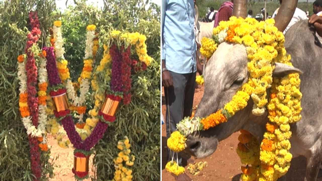 ದೀಪಾವಳಿ ಪ್ರಯುಕ್ತ ಕೋಟೆನಾಡಲ್ಲಿ ಪಂಚಪದಿ ಉತ್ಸವ: ಬುಡಕಟ್ಟು ಸಮುದಾಯದ ಸಂಸ್ಕೃತಿ ಅನಾವರಣ!