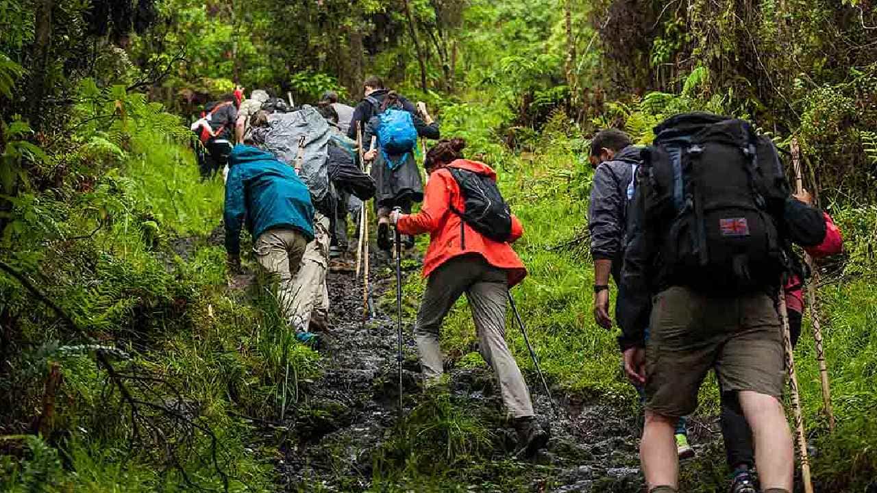 Trekking: ನೀವು ಟ್ರೆಕ್ಕಿಂಗ್ಗೆ ಹೋಗುತ್ತೀರಾ? ಹಾಗಾದರೆ ಈ ಸಂಗತಿಗಳನ್ನು ನೆನಪಿಡಿ! Trekking: ನೀವು ಟ್ರೆಕ್ಕಿಂಗ್ಗೆ ಹೋಗುತ್ತೀರಾ? ಹಾಗಾದರೆ ಈ ಸಂಗತಿಗಳನ್ನು ನೆನಪಿಡಿ!