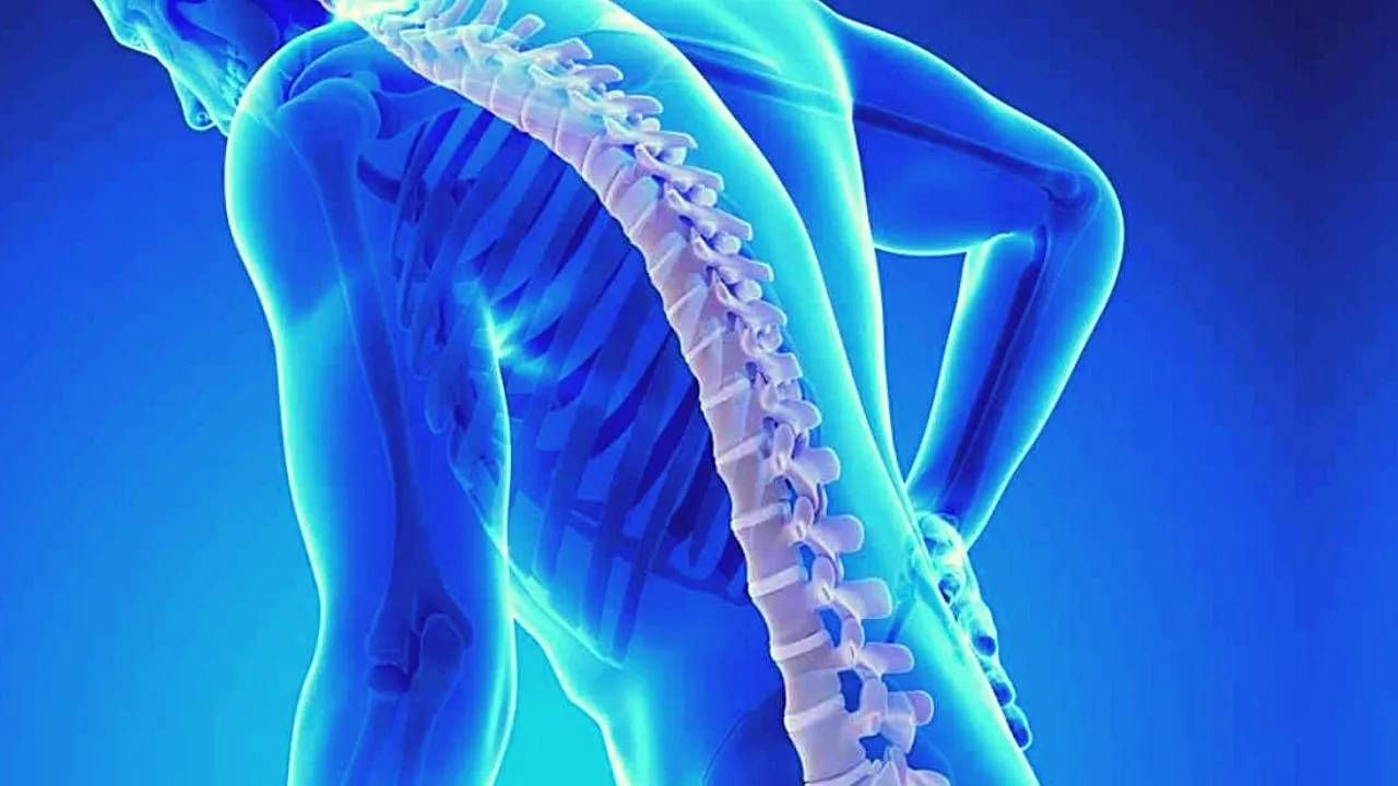 World Osteoporosis Day 2022: ಮೂಳೆ ರೋಗದ ಕುರಿತು ತಜ್ಞರು ನೀಡಿರುವ ಎಚ್ಚರಿಕೆ ಮತ್ತು ಸಲಹೆಗಳೇನು? World Osteoporosis Day 2022: ಮೂಳೆ ರೋಗದ ಕುರಿತು ತಜ್ಞರು ನೀಡಿರುವ ಎಚ್ಚರಿಕೆ ಮತ್ತು ಸಲಹೆಗಳೇನು?