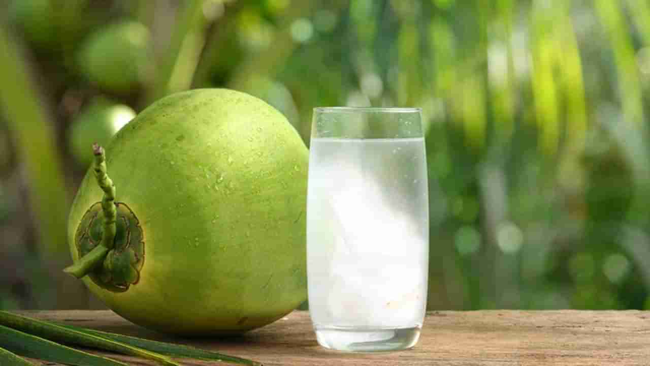 Coconut Water: ಮಧುಮೇಹವಿರುವವರು ಎಳನೀರು ಕುಡಿಯಬಹುದೇ? ವೈದ್ಯರು ಏನಂತಾರೆ?