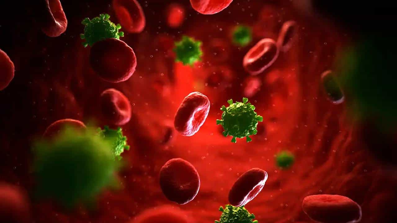 HIV Infection: ಕರುಳಿನ ಬ್ಯಾಕ್ಟೀರಿಯಾಗಳು HIV ಸೋಂಕಿಗೆ ಒಳಗಾಗಲು ಕಾರಣವಾಗಬಹುದು HIV Infection: ಕರುಳಿನ ಬ್ಯಾಕ್ಟೀರಿಯಾಗಳು HIV ಸೋಂಕಿಗೆ ಒಳಗಾಗಲು ಕಾರಣವಾಗಬಹುದು