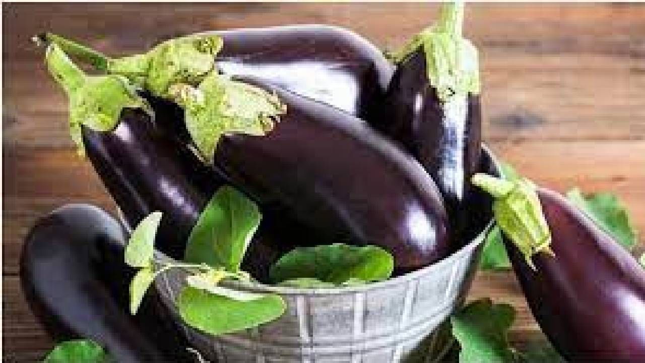 Brinjal Side Effects: ಈ ಸಮಸ್ಯೆಗಳಿಂದ ಬಳಲುತ್ತಿರುವವರು ಬದನೆಕಾಯಿ ತಿನ್ನಬೇಡಿ