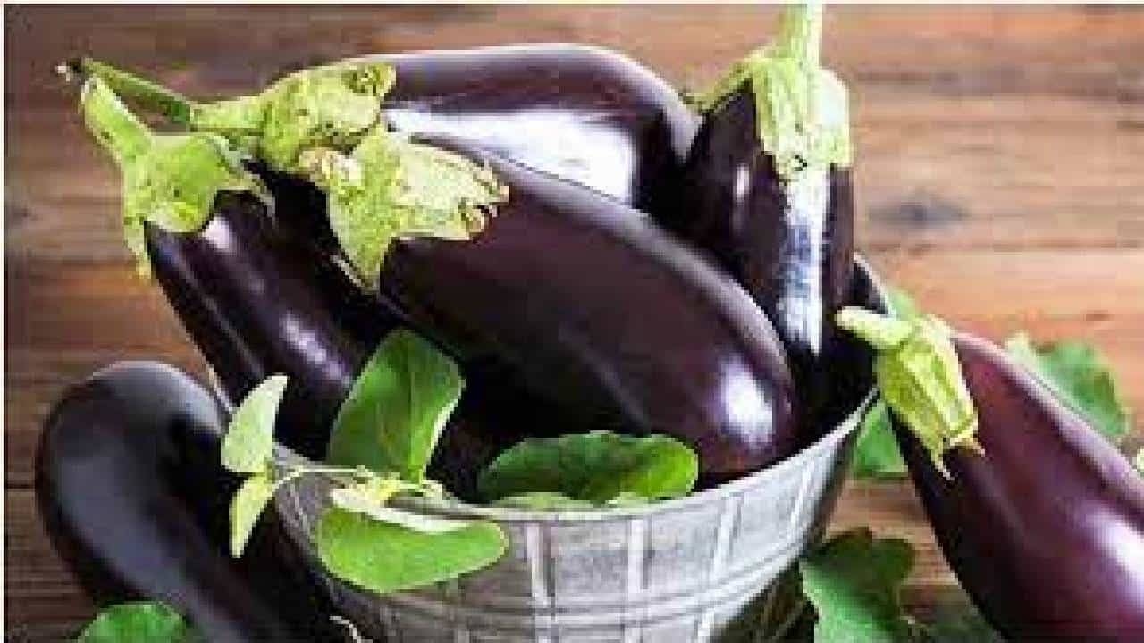 Brinjal Side Effects: ಈ ಸಮಸ್ಯೆಗಳಿಂದ ಬಳಲುತ್ತಿರುವವರು ಬದನೆಕಾಯಿ ತಿನ್ನಬೇಡಿ Brinjal Side Effects: ಈ ಸಮಸ್ಯೆಗಳಿಂದ ಬಳಲುತ್ತಿರುವವರು ಬದನೆಕಾಯಿ ತಿನ್ನಬೇಡಿ