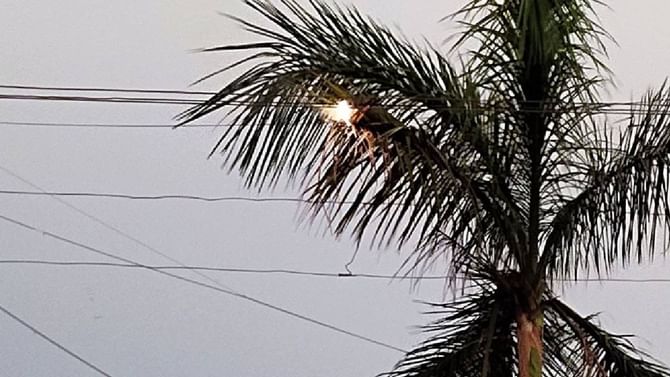 Pruning of Trees: ಮರಗಳು ವಿದ್ಯುತ್ ಲೈನ್ನಿಂದ ಎಷ್ಟು ಕೆಳಗಿರಬೇಕು? Pruning of Trees: ಮರಗಳು ವಿದ್ಯುತ್ ಲೈನ್ನಿಂದ ಎಷ್ಟು ಕೆಳಗಿರಬೇಕು?
