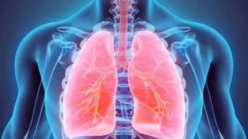 Lungs Problem: ಉಸಿರಾಟದ ತೊಂದರೆ ಈ ಗಂಭೀರ ಕಾಯಿಲೆಯ ಲಕ್ಷಣ, ಚಿಕಿತ್ಸೆಗಾಗಿ ಈ ವಿಧಾನಗಳನ್ನು ಅನುಸರಿಸಿ