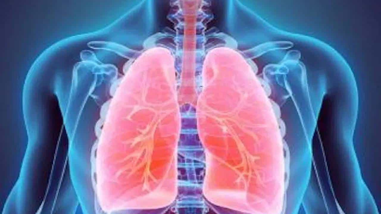 Lungs Problem: ಉಸಿರಾಟದ ತೊಂದರೆ ಈ ಗಂಭೀರ ಕಾಯಿಲೆಯ ಲಕ್ಷಣ, ಚಿಕಿತ್ಸೆಗಾಗಿ ಈ ವಿಧಾನಗಳನ್ನು ಅನುಸರಿಸಿ