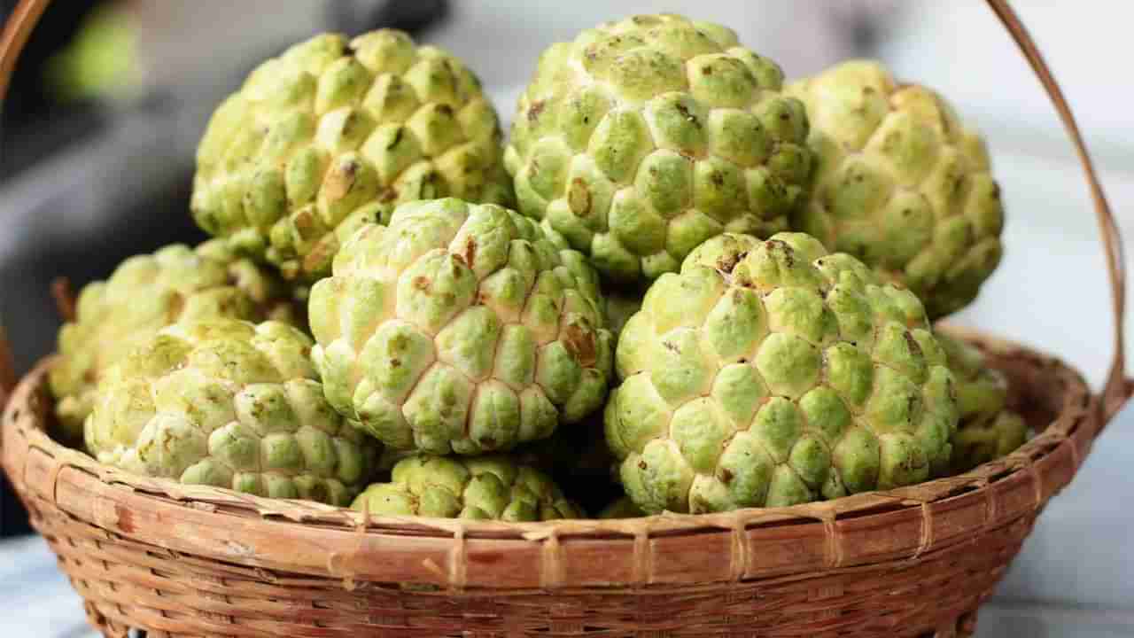 Custard Apple: ಹೃದಯವನ್ನು ಜೋಪಾನ ಮಾಡುತ್ತೆ ಈ ಸೀತಾಫಲ, ಇತರೆ ಪ್ರಯೋಜನಗಳೆಡೆಗೆ ಒಂದು ಸುತ್ತು