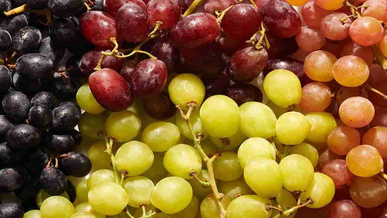 Grapes Seeds: ದ್ರಾಕ್ಷಿ ಹಣ್ಣುಗಳಲ್ಲಿ ಮಾತ್ರವಲ್ಲ, ಬೀಜಗಳಲ್ಲಿಯೂ ಇದೆ ಸಾಕಷ್ಟು ಆರೋಗ್ಯ ಪ್ರಯೋಜನಗಳು