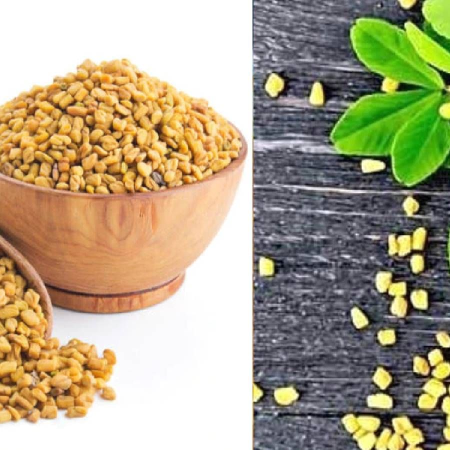 Fenugreek