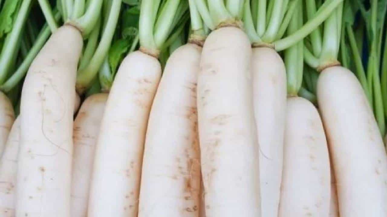 Radish: ರಾತ್ರಿಹೊತ್ತು ಮೂಲಂಗಿಯನ್ನು ತಿನ್ನಬೇಡಿ, ಆರೋಗ್ಯ ಅಪಾಯಕ್ಕೆ ಸಿಲುಕಬಹುದು Radish: ರಾತ್ರಿಹೊತ್ತು ಮೂಲಂಗಿಯನ್ನು ತಿನ್ನಬೇಡಿ, ಆರೋಗ್ಯ ಅಪಾಯಕ್ಕೆ ಸಿಲುಕಬಹುದು