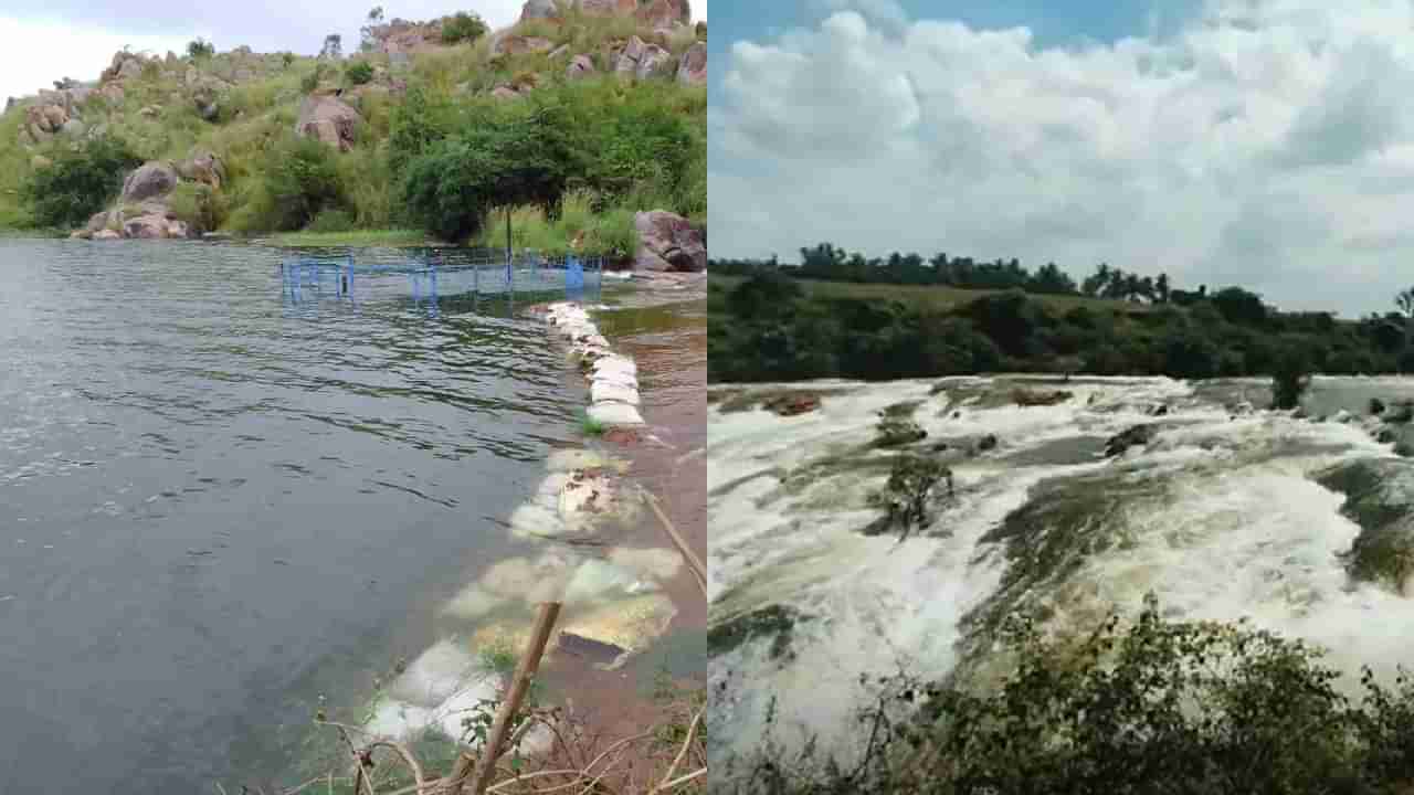 Karnataka Rain: ಧಾರಾಕಾರ ಮಳೆಗೆ ನದಿ, ಕೆರೆಗಳು ಭರ್ತಿ, ಅಪಾಯದ ಅಂಚಿನಲ್ಲಿ ಕೆರೆ ತೊಣ್ಣೂರು ಕೆರೆ