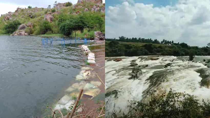 Karnataka Rain: ಧಾರಾಕಾರ ಮಳೆಗೆ ನದಿ, ಕೆರೆಗಳು ಭರ್ತಿ, ಅಪಾಯದ ಅಂಚಿನಲ್ಲಿ ಕೆರೆ ತೊಣ್ಣೂರು ಕೆರೆ