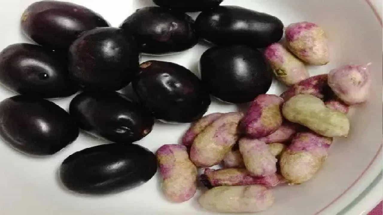 Jamun Seeds: ನೇರಳೆ ಬೀಜಗಳಲ್ಲಿರುವ ಅದ್ಭುತ ಔಷಧೀಯ ಗುಣಗಳ ಬಗ್ಗೆ ನಿಮಗೆಷ್ಟು ಗೊತ್ತು? Jamun Seeds: ನೇರಳೆ ಬೀಜಗಳಲ್ಲಿರುವ ಅದ್ಭುತ ಔಷಧೀಯ ಗುಣಗಳ ಬಗ್ಗೆ ನಿಮಗೆಷ್ಟು ಗೊತ್ತು?