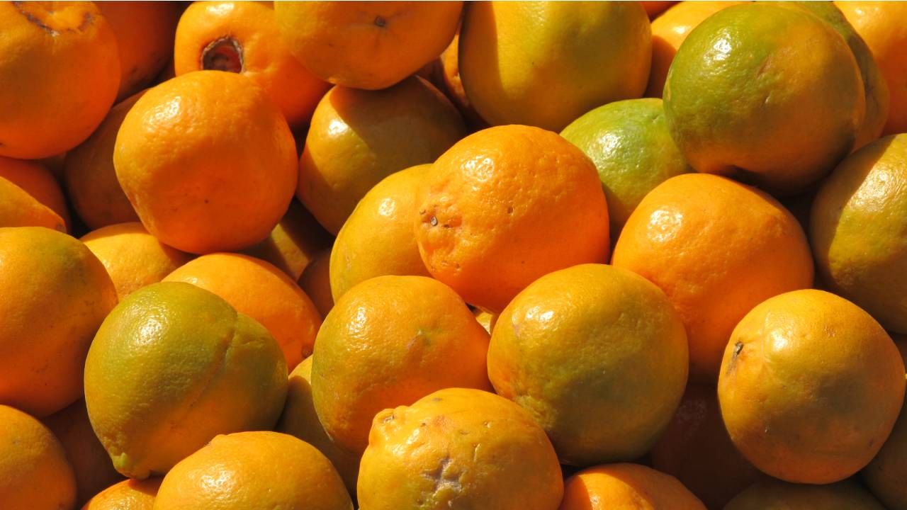 Orange Benefits: ಕಿತ್ತಳೆ ಹಣ್ಣು ತಿನ್ನುವುದರಿಂದ ಆರೋಗ್ಯಕ್ಕೆ ಏನೇನು ಪ್ರಯೋಜನಗಳಿವೆ ತಿಳಿಯಿರಿ