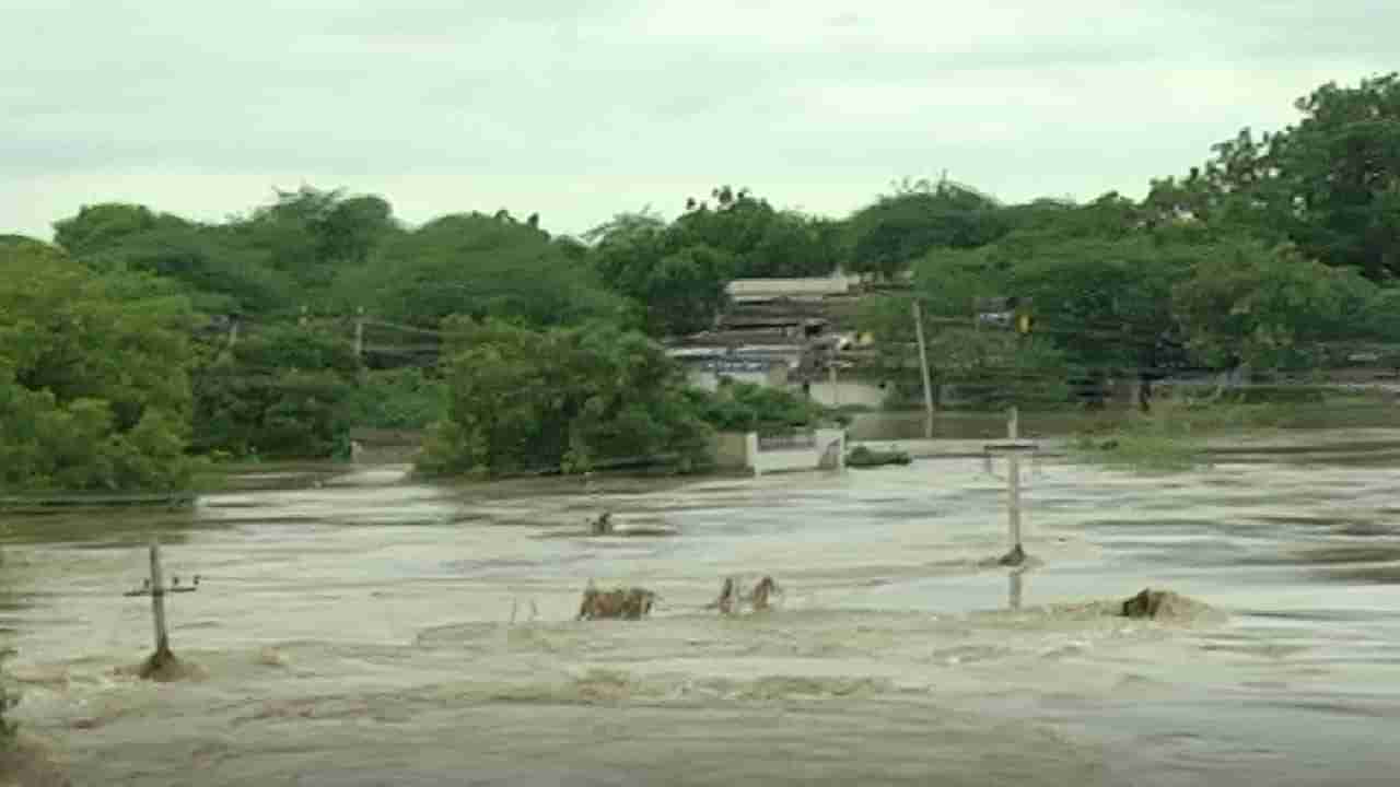 Karnataka Rain: ಮಹಾ ಮಳೆಗೆ ಉಕ್ಕಿ ಹರಿಯುತ್ತಿರುವ ಭೀಮಾ ನದಿ; ಕಲಬುರಗಿ-ವಿಜಯಪುರ ಸಂಪರ್ಕ ಕಡಿತ