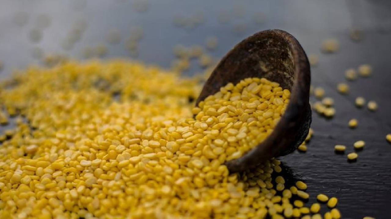 Yellow Moong Dal: ನಿತ್ಯ ನಿಮ್ಮ ಆಹಾರದಲ್ಲಿ ಹೆಸರು ಬೇಳೆ ಸೇರಿಸುವುದರಿಂದ ಆರೋಗ್ಯಕ್ಕೆ ಏನೆಲ್ಲಾ ಪ್ರಯೋಜನಗಳಿವೆ ಗೊತ್ತೇ?