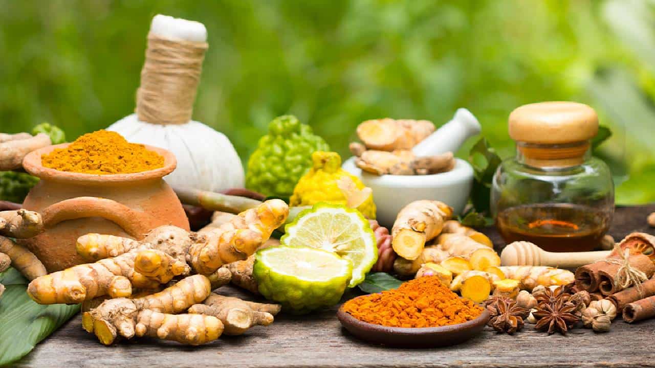 World Ayurveda Day 2022: ಯೋಗ ಹಾಗೂ ಧ್ಯಾನದೊಂದಿಗೆ ಈ ಆಯುರ್ವೇದ ಸಲಹೆಗಳನ್ನು ಪಾಲಿಸಿ, ದೇಹವನ್ನು ಆರೋಗ್ಯಕರವಾಗಿರಿಸಿ World Ayurveda Day 2022: ಯೋಗ ಹಾಗೂ ಧ್ಯಾನದೊಂದಿಗೆ ಈ ಆಯುರ್ವೇದ ಸಲಹೆಗಳನ್ನು ಪಾಲಿಸಿ, ದೇಹವನ್ನು ಆರೋಗ್ಯಕರವಾಗಿರಿಸಿ