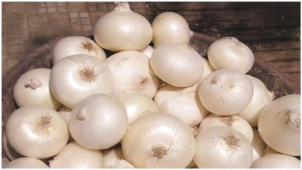 White Onion: ಬಿಳಿ ಈರುಳ್ಳಿ ತಿನ್ನುವುದರಿಂದ ಈ ಆರೋಗ್ಯ ಸಮಸ್ಯೆಗಳು ದೂರವಾಗುತ್ತೆ