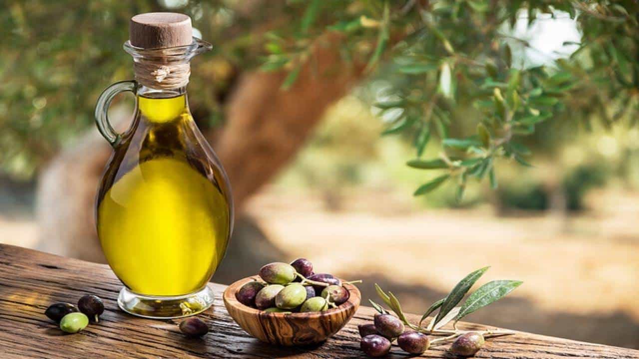 Olive Oil: ಸ್ನಾನದ ನೀರಿನಲ್ಲಿ ಆಲಿವ್ ಎಣ್ಣೆಯನ್ನು ಬೆರೆಸಿ ಅದ್ಭುತ ಆರೋಗ್ಯ ಪ್ರಯೋಜನಗಳನ್ನು ಪಡೆಯಿರಿ Olive Oil: ಸ್ನಾನದ ನೀರಿನಲ್ಲಿ ಆಲಿವ್ ಎಣ್ಣೆಯನ್ನು ಬೆರೆಸಿ ಅದ್ಭುತ ಆರೋಗ್ಯ ಪ್ರಯೋಜನಗಳನ್ನು ಪಡೆಯಿರಿ