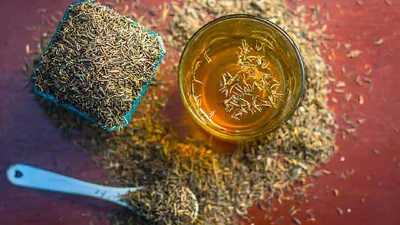 Cumin Water Benefits: ಜೀರಿಗೆ ನೀರು ಜೀರ್ಣಕಾರಿ ಮಾತ್ರವಲ್ಲ, ಚರ್ಮರೋಗ, ಮಧುಮೇಹಕ್ಕೂ ಪ್ರಯೋಜನಕಾರಿ Cumin Water Benefits: ಜೀರಿಗೆ ನೀರು ಜೀರ್ಣಕಾರಿ ಮಾತ್ರವಲ್ಲ, ಚರ್ಮರೋಗ, ಮಧುಮೇಹಕ್ಕೂ ಪ್ರಯೋಜನಕಾರಿ