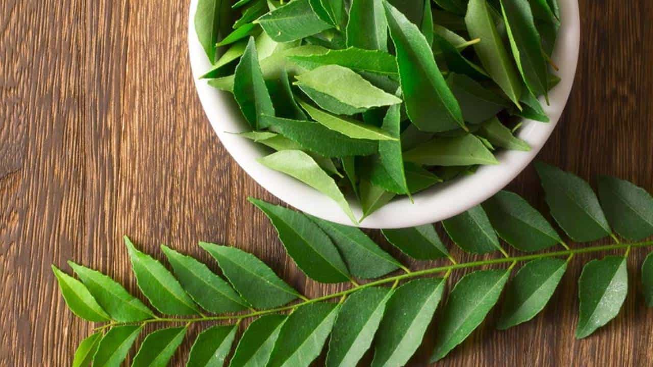 Curry Leaves: ಕರಿಬೇವಿನ ನೀರು ಕುಡಿಯುವುದರಿಂದಾಗುವ ಅದ್ಭುತ ಪ್ರಯೋಜನಗಳ ಬಗ್ಗೆ ತಿಳಿಯಿರಿ Curry Leaves: ಕರಿಬೇವಿನ ನೀರು ಕುಡಿಯುವುದರಿಂದಾಗುವ ಅದ್ಭುತ ಪ್ರಯೋಜನಗಳ ಬಗ್ಗೆ ತಿಳಿಯಿರಿ