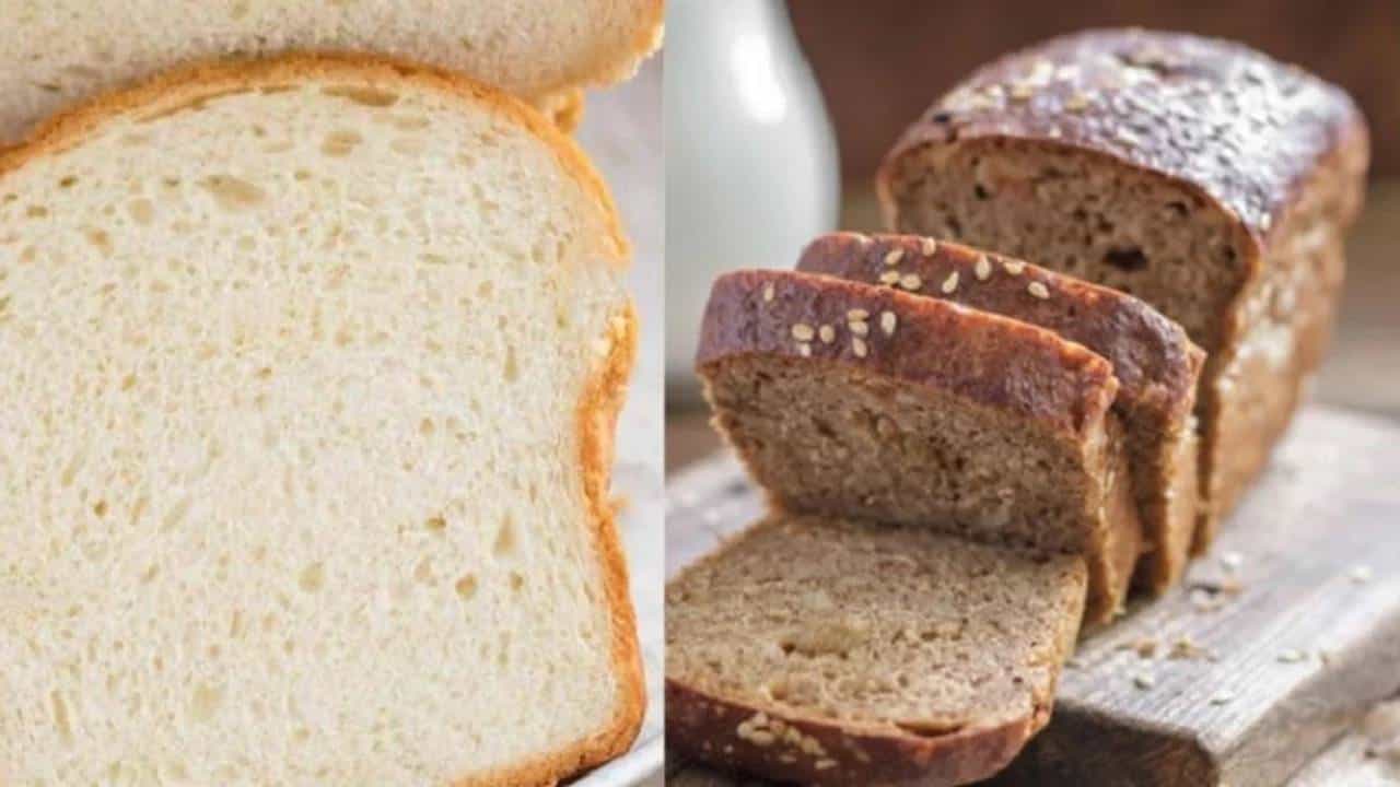 Weight Loss: ಬ್ರೆಡ್ ತಿಂದೂ ಕೂಡ ತೂಕ ಇಳಿಸಬಹುದು ಹೇಗೆ ಗೊತ್ತೇ? Weight Loss: ಬ್ರೆಡ್ ತಿಂದೂ ಕೂಡ ತೂಕ ಇಳಿಸಬಹುದು ಹೇಗೆ ಗೊತ್ತೇ?
