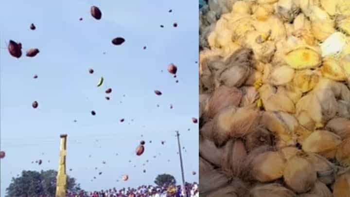 ತೆಂಗಿಕಾಯಿಗಳನ್ನ ಮುಗಿಲಿಗೆಸೆಯುವ ಭಕ್ತರು: ಓಬಳೇಶ್ವರ ಜಾತ್ರೆ ವಿಶಿಷ್ಟ ಸಂಪ್ರದಾಯ ಹೇಗಿದೆ ನೋಡಿ! ತೆಂಗಿಕಾಯಿಗಳನ್ನ ಮುಗಿಲಿಗೆಸೆಯುವ ಭಕ್ತರು: ಓಬಳೇಶ್ವರ ಜಾತ್ರೆ ವಿಶಿಷ್ಟ ಸಂಪ್ರದಾಯ ಹೇಗಿದೆ ನೋಡಿ!