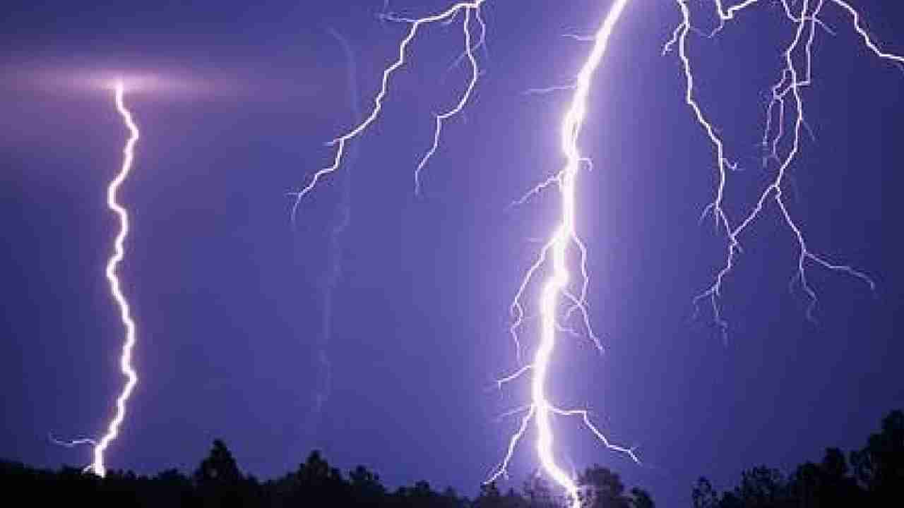 ಸಿಡಿಲು ಹೊಡೆದ ಪರಿಣಾಮ ಹದಿನೇಳು ಜಾನುವಾರು ಸಾವು: ರೈತ ಕಂಗಾಲು