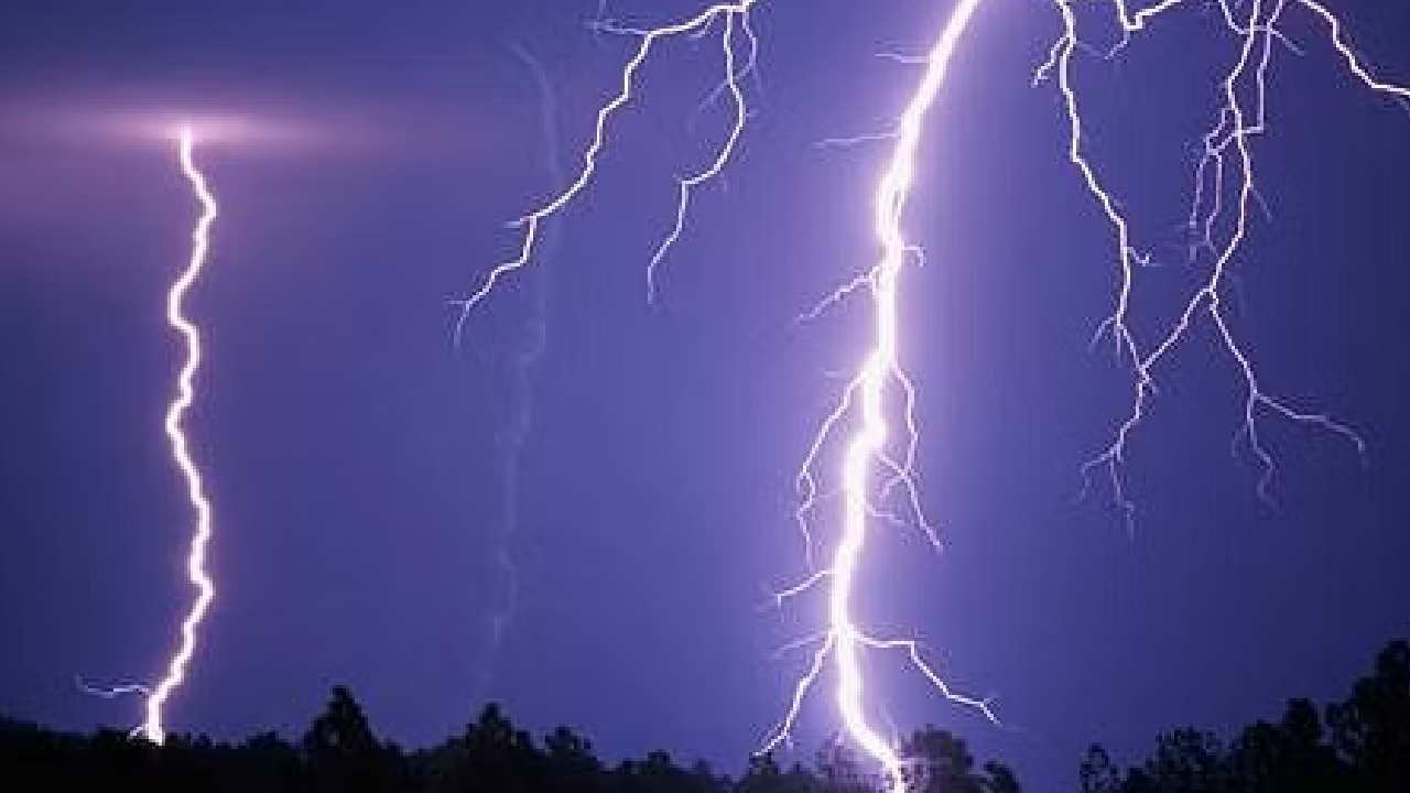 ಸಿಡಿಲು ಹೊಡೆದ ಪರಿಣಾಮ ಹದಿನೇಳು ಜಾನುವಾರು ಸಾವು: ರೈತ ಕಂಗಾಲು