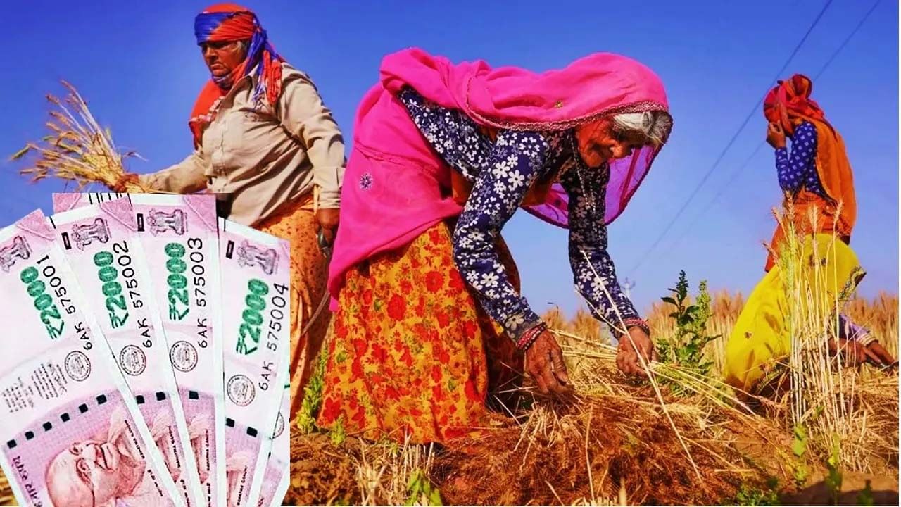PM Kisan Samman Nidhi: ಪಿಎಂ ಕಿಸಾನ್ ಯೋಜನೆಯ 12ನೇ ಕಂತು ಬಿಡುಗಡೆ: ಹಣ ಬಂದಿದೆಯೇ ಎಂದು ನೋಡುವುದು ಹೇಗೆ? PM Kisan Samman Nidhi: ಪಿಎಂ ಕಿಸಾನ್ ಯೋಜನೆಯ 12ನೇ ಕಂತು ಬಿಡುಗಡೆ: ಹಣ ಬಂದಿದೆಯೇ ಎಂದು ನೋಡುವುದು ಹೇಗೆ?