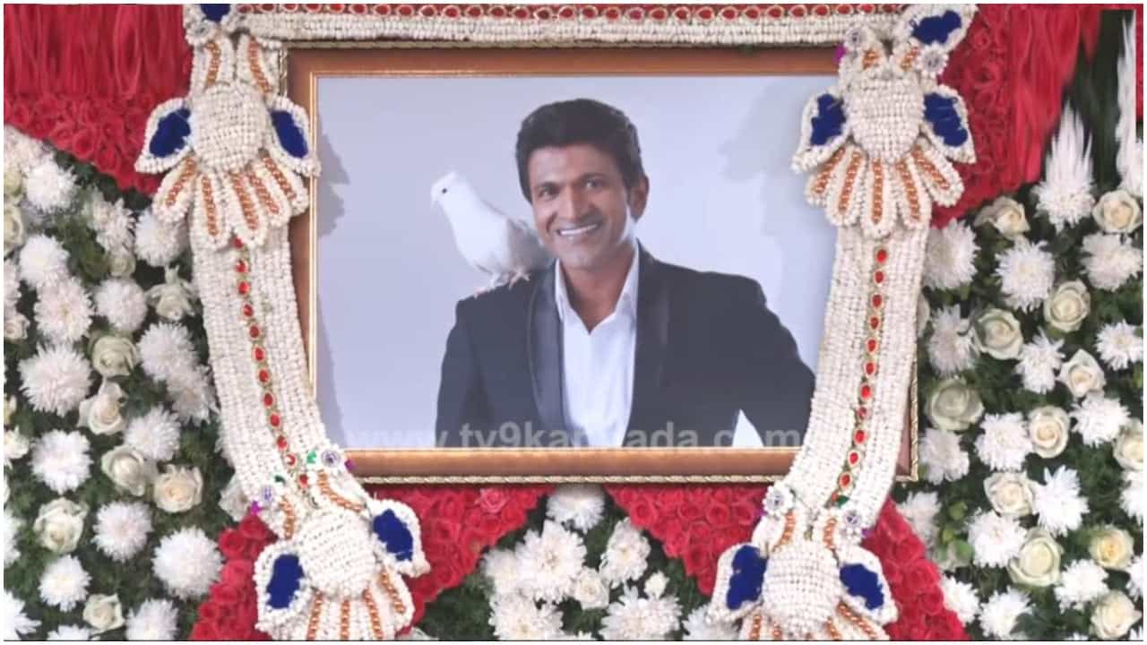 Appu Samadhi: ರಾತ್ರಿ ಇಡೀ ಪುನೀತ್ ಸಮಾಧಿ ದರ್ಶನಕ್ಕೆ ಅವಕಾಶ; ಸಾಧು ಕೋಕಿಲ ತಂಡದಿಂದ ಅಪ್ಪುಗೆ ಸಂಗೀತ ನಮನ Appu Samadhi: ರಾತ್ರಿ ಇಡೀ ಪುನೀತ್ ಸಮಾಧಿ ದರ್ಶನಕ್ಕೆ ಅವಕಾಶ; ಸಾಧು ಕೋಕಿಲ ತಂಡದಿಂದ ಅಪ್ಪುಗೆ ಸಂಗೀತ ನಮನ
