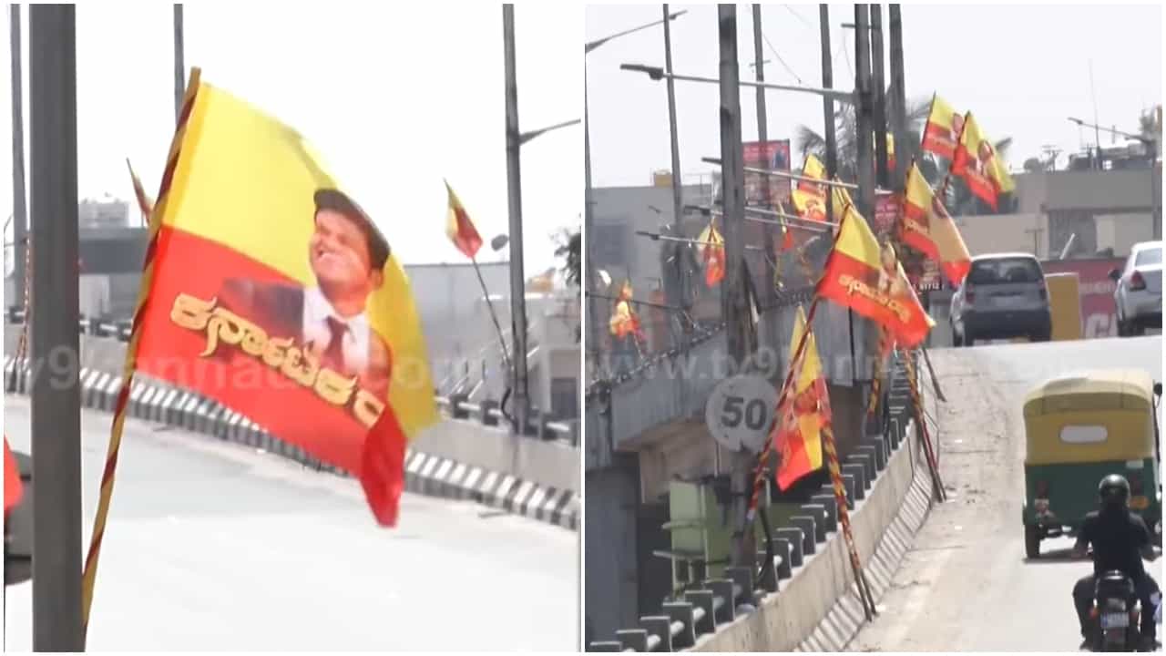 Puneeth Rajkumar: ಕರುನಾಡ ಧ್ವಜದಲ್ಲಿ ಪುನೀತ್ ಭಾವಚಿತ್ರ; ಎಲ್ಲೆಲ್ಲೂ ರಾರಾಜಿಸುತ್ತಿದೆ ಅಪ್ಪು ಬಾವುಟ Puneeth Rajkumar: ಕರುನಾಡ ಧ್ವಜದಲ್ಲಿ ಪುನೀತ್ ಭಾವಚಿತ್ರ; ಎಲ್ಲೆಲ್ಲೂ ರಾರಾಜಿಸುತ್ತಿದೆ ಅಪ್ಪು ಬಾವುಟ