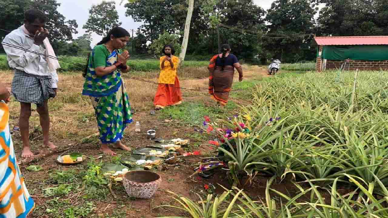 ಬಾಯಲ್ಲಿ ನೀರೂರಿಸುತ್ತೆ ಉತ್ತರ ಕರ್ನಾಟಕ ಶೀಗೆ ಹುಣ್ಣಿಮೆ? ಇಲ್ಲಿದೆ ನೋಡಿ ಅದರ ಕರಾಮತ್ತು