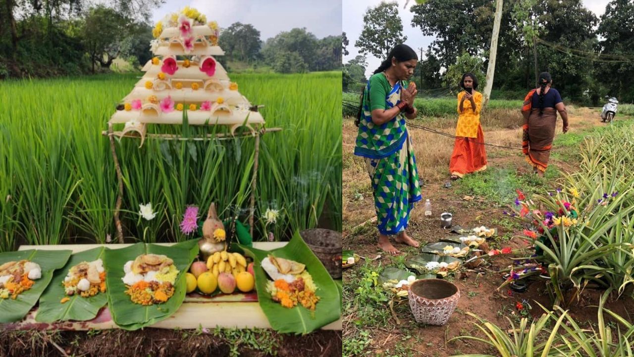 ಭೂಮಿ ಹುಣ್ಣಿಮೆಯ ಮಹತ್ವ? ಆಚರಣೆ ಮತ್ತು ಇದರ ಪೂಜಾ ವಿಧಾನ ಹೇಗೆ?