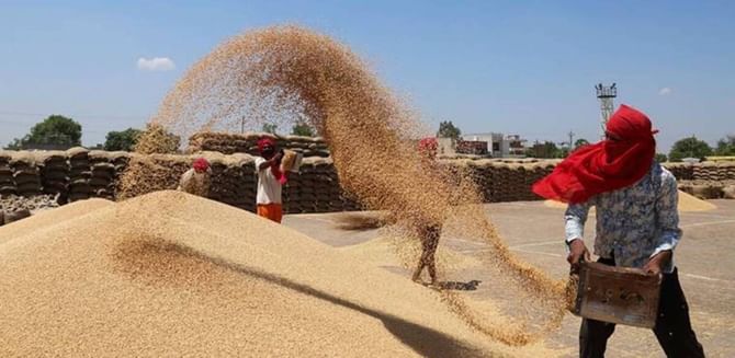 Wheat Price: ರಫ್ತು ನಿರ್ಬಂಧದ ಹೊರತಾಗಿಯೂ ಗೋಧಿ ದರ ಹೆಚ್ಚಳ; ಕೇಂದ್ರ