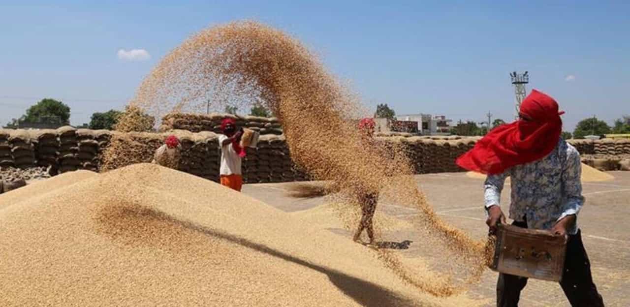 Wheat Price: ರಫ್ತು ನಿರ್ಬಂಧದ ಹೊರತಾಗಿಯೂ ಗೋಧಿ ದರ ಹೆಚ್ಚಳ; ಕೇಂದ್ರ