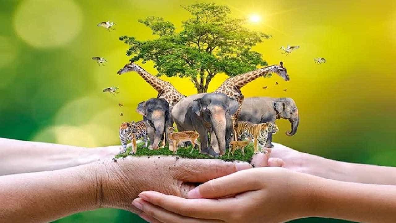 World Animal Welfare Day 2022: ವಿಶ್ವ ಪ್ರಾಣಿಗಳ ದಿನದ ಇತಿಹಾಸ, ಮಹತ್ವ ತಿಳಿಯಿರಿ World Animal Welfare Day 2022: ವಿಶ್ವ ಪ್ರಾಣಿಗಳ ದಿನದ ಇತಿಹಾಸ, ಮಹತ್ವ ತಿಳಿಯಿರಿ
