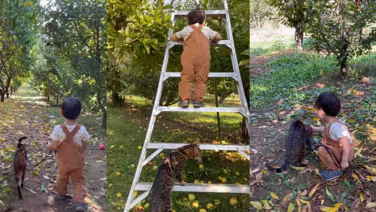 ಸೇಬು ಆರಿಸೋದಕ್ಕೇನೋ ಬಂದ್ವಿ ಆದರೆ ಚೀಲ! ಸ್ವಲ್ಪ ಕೊಡ್ತೀರಾ? ಸೇಬು ಆರಿಸೋದಕ್ಕೇನೋ ಬಂದ್ವಿ ಆದರೆ ಚೀಲ! ಸ್ವಲ್ಪ ಕೊಡ್ತೀರಾ?