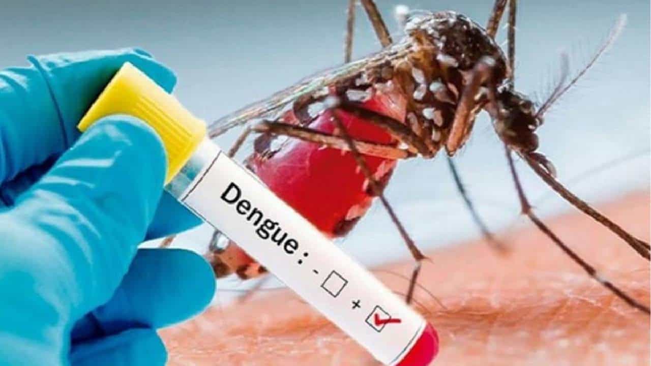 Dengue: ದೆಹಲಿ, ಉತ್ತರ ಪ್ರದೇಶ, ಬಿಹಾರದಲ್ಲಿ ಮತ್ತೆ ಡೆಂಗ್ಯೂ ಕಾಟ; ನೀವು ತೆಗೆದುಕೊಳ್ಳಬೇಕಾದ ಮುನ್ನೆಚ್ಚರಿಕಾ ಕ್ರಮಗಳಿವು Dengue: ದೆಹಲಿ, ಉತ್ತರ ಪ್ರದೇಶ, ಬಿಹಾರದಲ್ಲಿ ಮತ್ತೆ ಡೆಂಗ್ಯೂ ಕಾಟ; ನೀವು ತೆಗೆದುಕೊಳ್ಳಬೇಕಾದ ಮುನ್ನೆಚ್ಚರಿಕಾ ಕ್ರಮಗಳಿವು